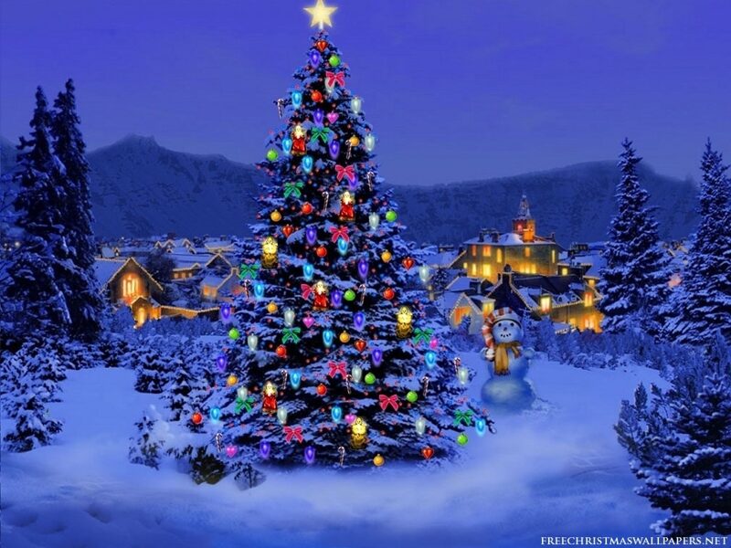 Christmas Market tour